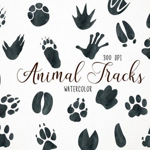 Watercolor Animal Tracks Clipart, Footprints Clipart, Footprints Clip Art, Footprints Illustration, Footprints PNG, Animal Tracks Clip Art