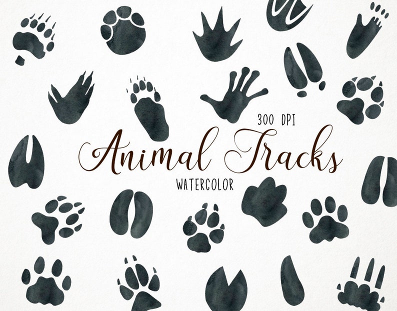 Watercolor Animal Tracks Clipart, Footprints Clipart, Footprints Clip Art, Footprints Illustration, Footprints PNG, Animal Tracks Clip Art image 1