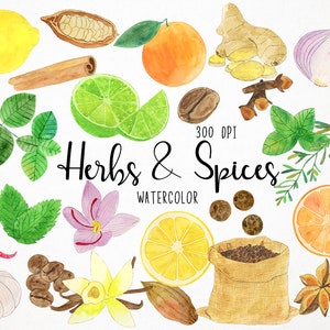 Watercolor Herbs Clipart, Watercolor Spices Clipart, Vanilla Clipart, Culinary Clipart, Kitchen Clipart, Garnish Clipart, Cooking Clipart