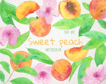 Watercolor Peaches Clipart, Peaches Clip Art, Watercolor Peach Clipart, Peach Clip Art, Peaches Illustration, Peach Illustration