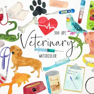 Watercolor Veterinary Clipart,  Vet Clipart, Veterinary Center Clipart, Pets Health Clipart, Pets Clipart, Animal Clinic Clipart, Medical