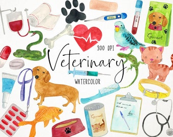 Watercolor Veterinary Clipart,  Vet Clipart, Veterinary Center Clipart, Pets Health Clipart, Pets Clipart, Animal Clinic Clipart, Medical