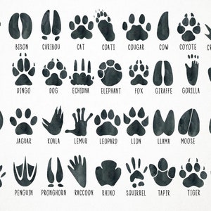 Watercolor Animal Tracks Clipart, Footprints Clipart, Footprints Clip Art, Footprints Illustration, Footprints PNG, Animal Tracks Clip Art image 2