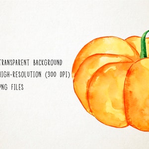 May include: Watercolor illustration of a pumpkin in shades of orange and yellow, with a green stem and vine. The pumpkin is set against a white background. Text on the left side reads: Transparent Background, High-Resolution (300 DPI), PNG Files.