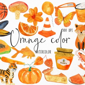 Puede incluir: Ilustraciones de acuarela de varios objetos de color naranja, incluyendo una papaya, una zanahoria, una calabaza, un tigre, un pez dorado, una mariposa, un hongo, un cono de tráfico, una rodaja de naranja, un tarro de miel, un pastel, una zapatilla, un camarón, un zorro, una concha de mar, un balón de baloncesto, una taza y una flor. El texto "Orange color" y "Watercolor" también está incluido en la imagen.