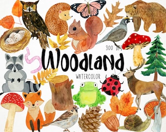 Watercolor Woodland Clipart, Woodland Animals Clipart, Forest Clipart, Forest Animals Clipart, Woodland Nursery Clipart, Autumn Animals
