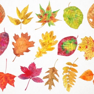 May include: A collection of 17 watercolor painted autumn leaves in various shades of red, orange, yellow, and green. The leaves are isolated on a white background.