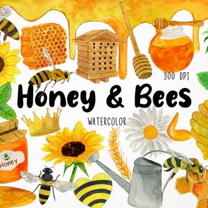 Watercolor Honey Clipart, Bees Clipart, Bumblebee Clipart, Honeybee Clipart, Honeycomb Clipart, Bee Hive Clipart, Apiculture Clipart, Daisy