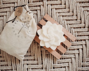 Soap Set | Triple Butter & Agave Succulent Soap with Cedar Soap Dish