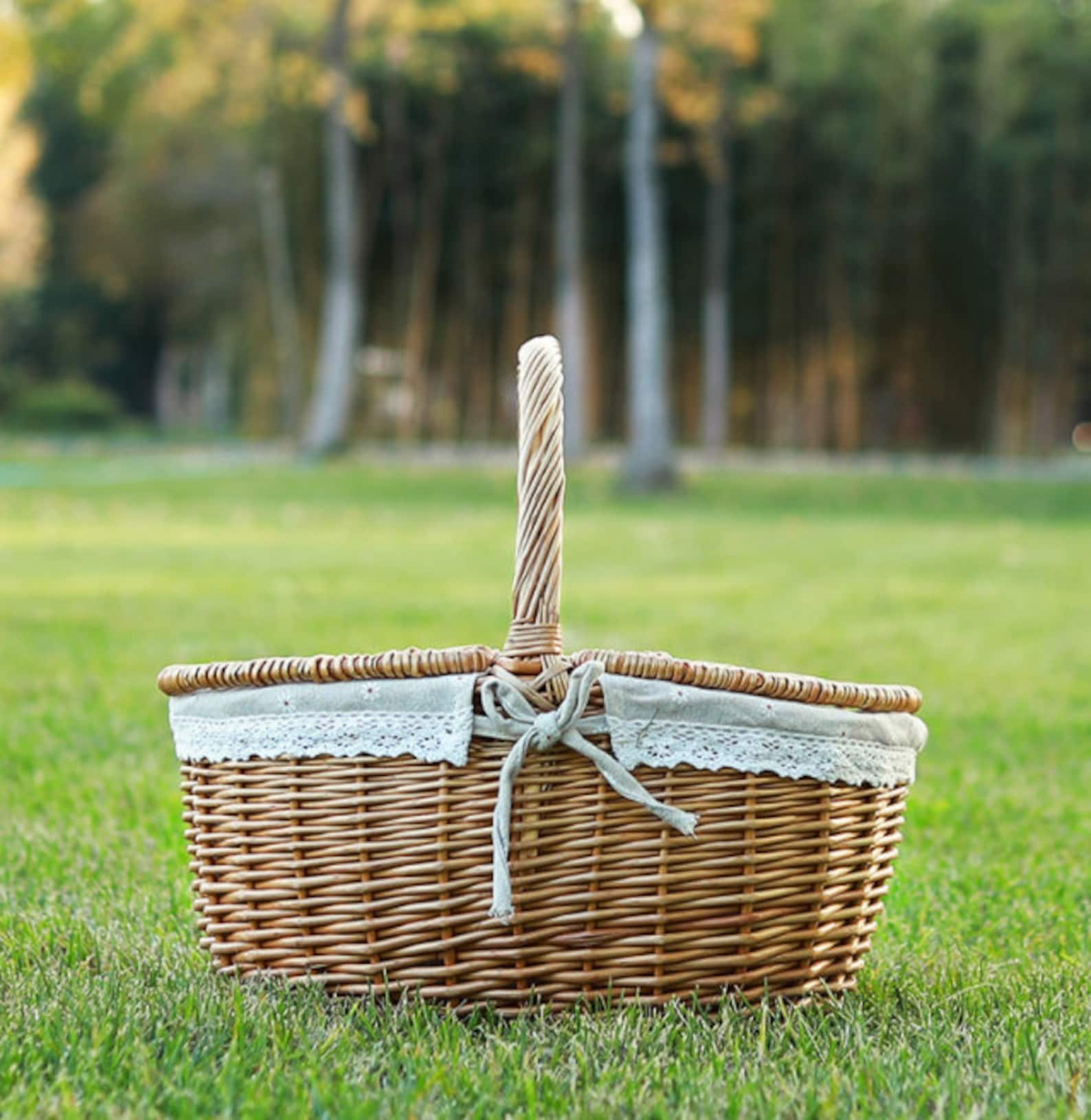 Hand Woven Picnic Basket With Lid / Vintage Picnic Basket / Etsy