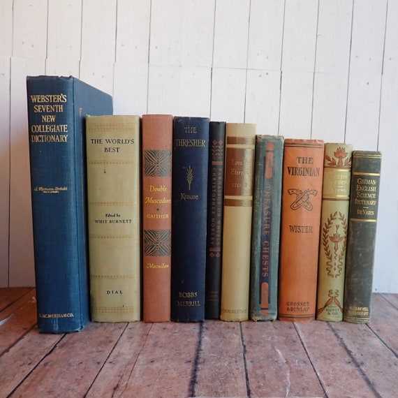 Vintage Book Set of 10 Books Blue Tan Red Bookshelf Bundle Office Library Decor