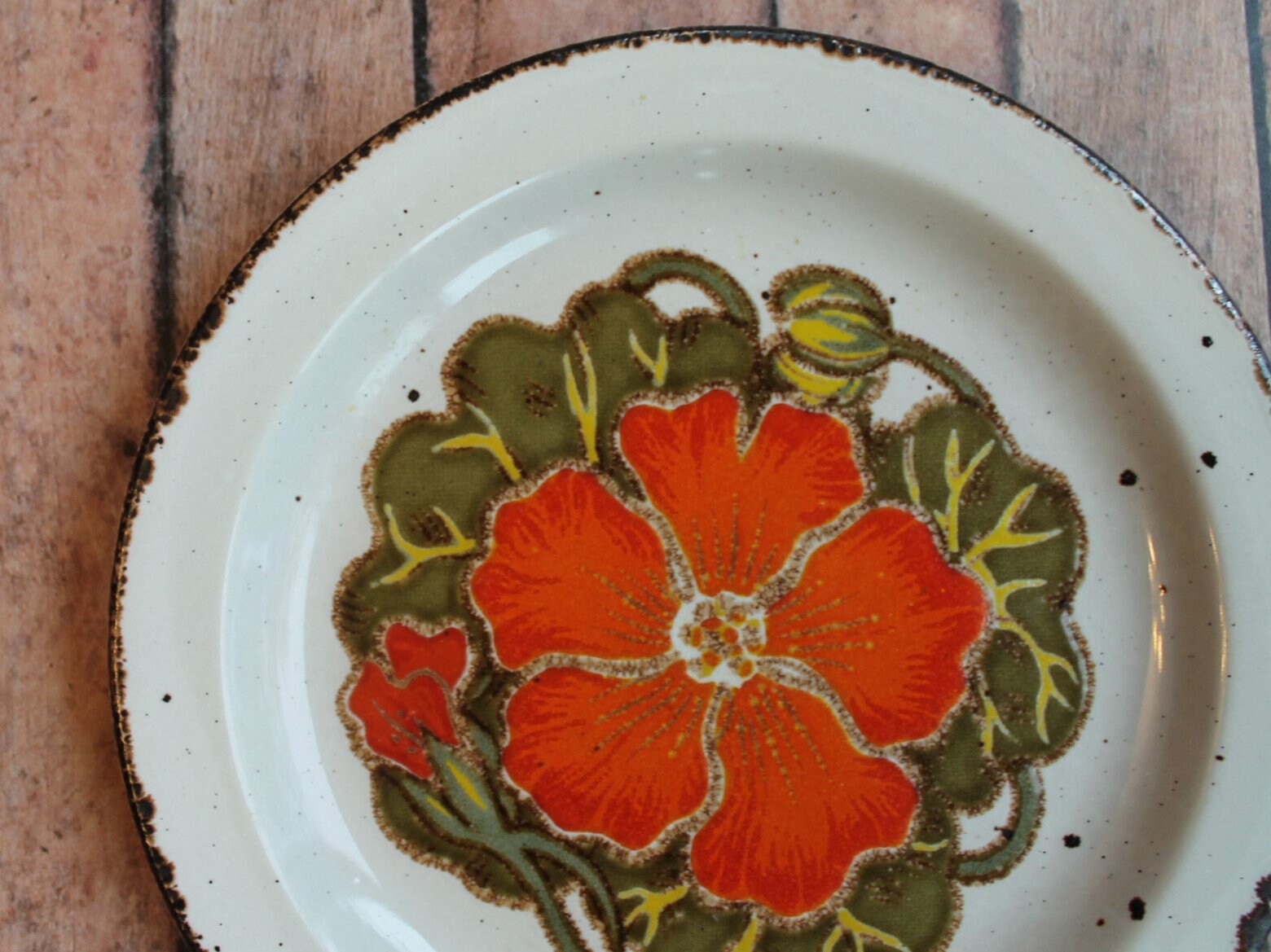 Grand lot vintage Midwinter Stonehenge Nasturtium grès MCM
