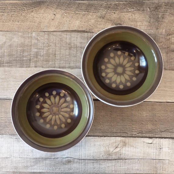 Vintage Casual Ceram REGENCY Cereal Bowl Set of 2 Stoneware Brown Green with Flower Leaf Design Mid Century Floral
