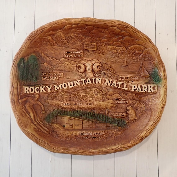 Vintage Rocky Mountain National Park Faux Wood Souvenir Wall Plate Tray Bowl HH Tammen Co