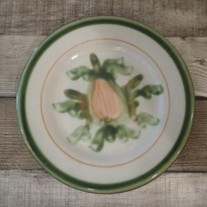 May include: A white ceramic plate with a green rim and a peach and green floral design in the center. The plate has a thin peach-colored ring around the center design.