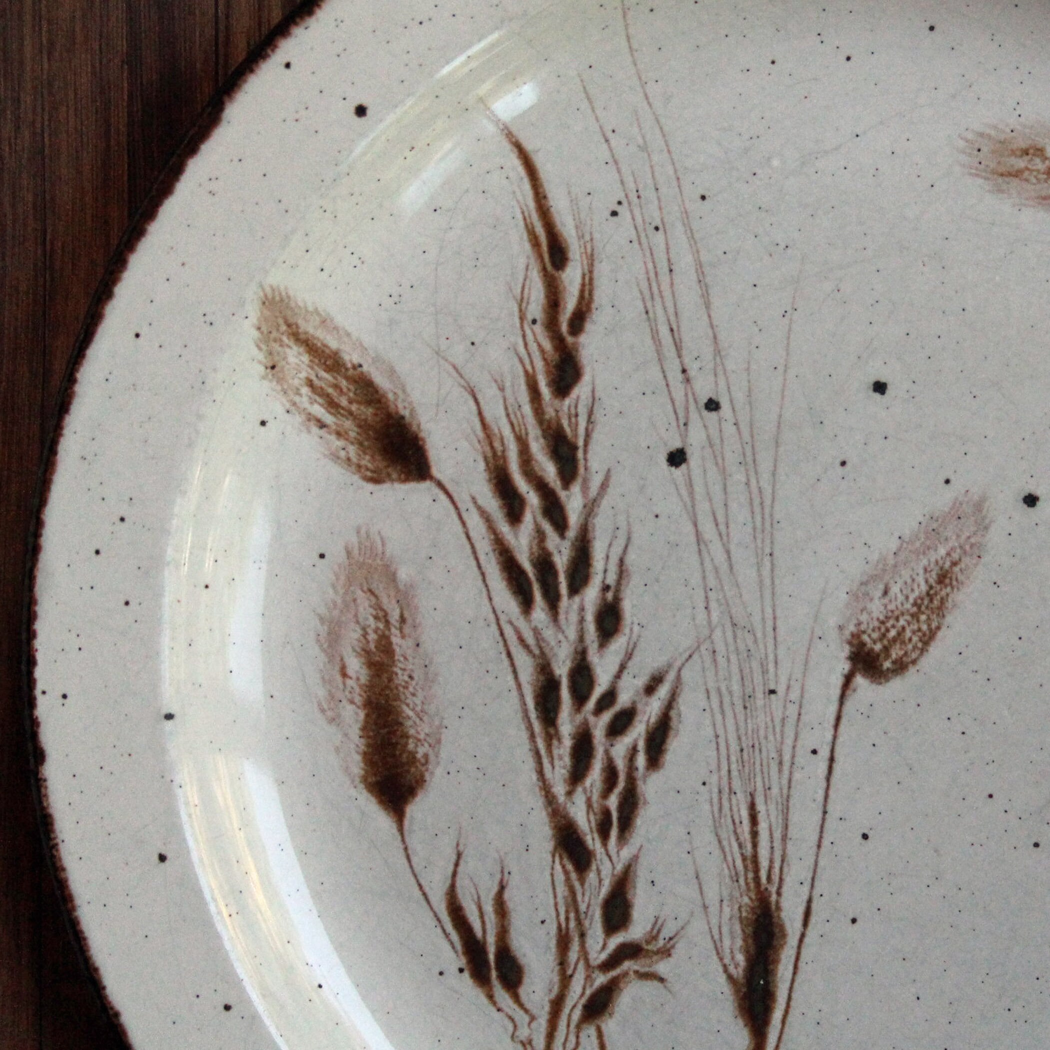 Vintage Midwinter Stonehenge WILD OATS Dinner Plate Set of 2 White with