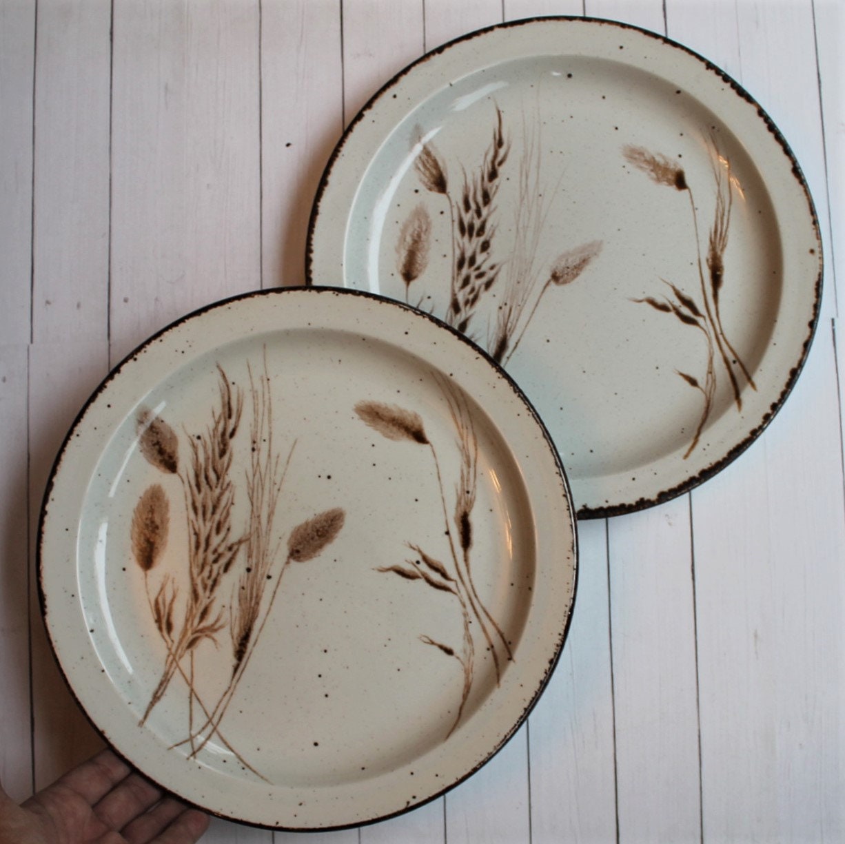 Vintage Midwinter Stonehenge WILD OATS Dinner Plate Set of 2 White with
