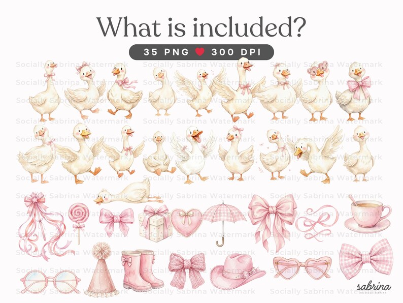 Coquette Silly Goose Clipart, 35 PNG Watercolor Goose Clipart, Pink ...