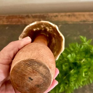 Pu&ograve; includere: Un oggetto a forma di fungo in legno con un gambo marrone chiaro e un cappello beige strutturato. Il fungo &egrave; tenuto in mano, con un fogliame verde sullo sfondo. L'oggetto sembra fatto a mano.