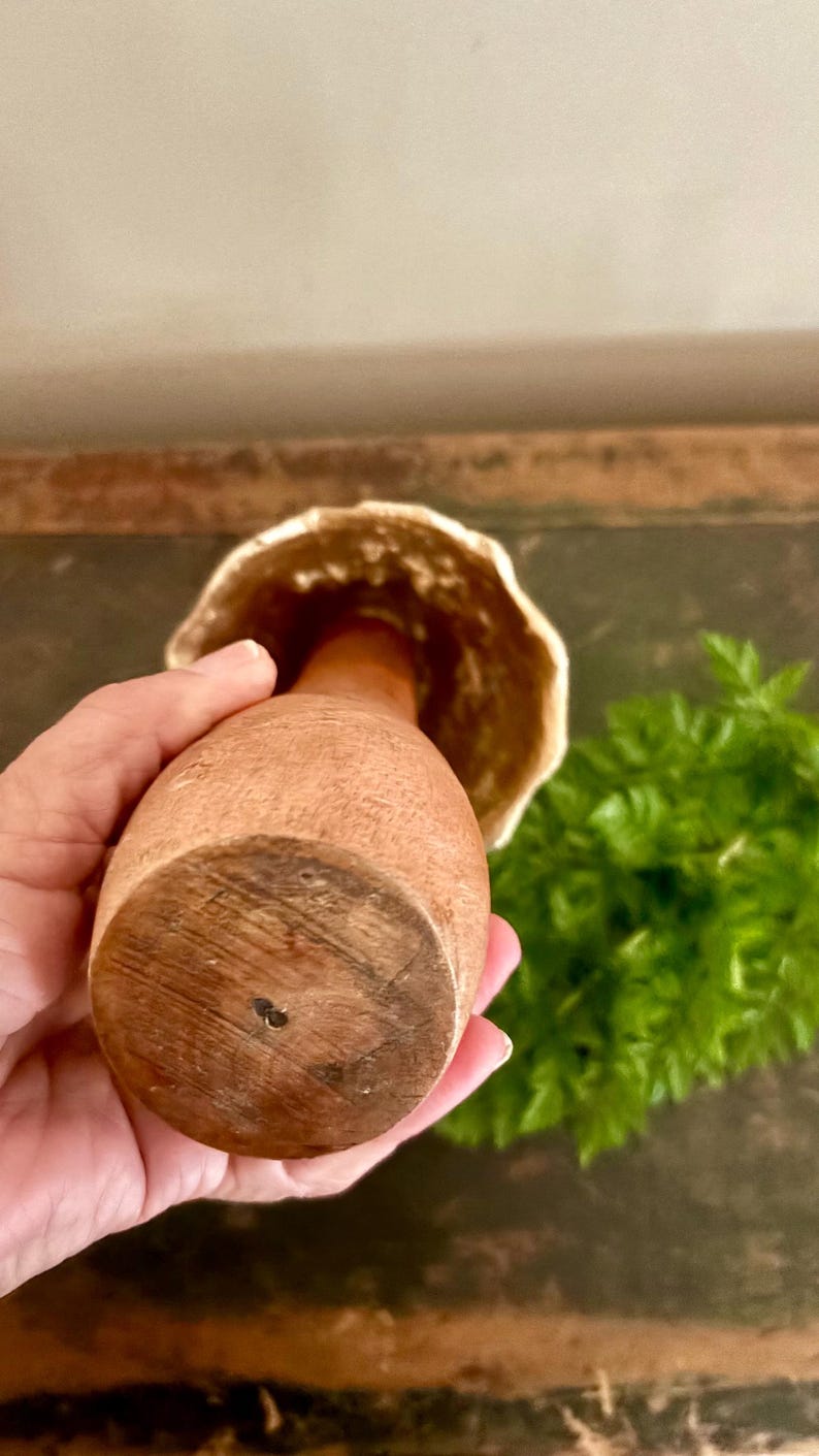 Pu&ograve; includere: Un oggetto a forma di fungo in legno con un gambo marrone chiaro e un cappello beige strutturato. Il fungo &egrave; tenuto in mano, con un fogliame verde sullo sfondo. L'oggetto sembra fatto a mano.
