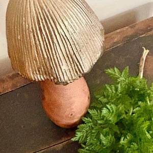 Pu&ograve; includere: Una scultura decorativa a forma di fungo con un cappello strutturato color oro e un gambo color terracotta. Il fungo &egrave; posto accanto a un gruppo di fogliame verde, creando un'estetica naturale e terrosa.