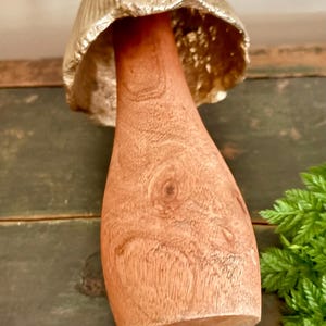Pu&ograve; includere: Una statuetta decorativa a forma di fungo con un cappello color oro e un gambo in legno marrone chiaro. Il fungo &egrave; posto su uno sfondo verde scuro con un rametto di fogliame verde. Il cappello ha una finitura metallica strutturata.