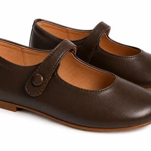 May include: A pair of dark brown Mary Jane shoes featuring a smooth finish, a rounded toe, and a single strap across the instep secured with a matching button. The shoes have a low, flat heel and a tan interior lining, presented against a white background.