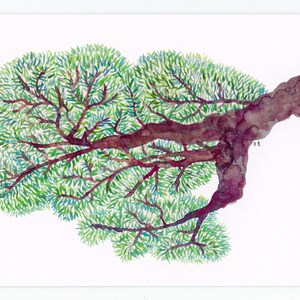 Tarjeta de felicitación o nota con ilustración de acuarela de pino japonés, tarjeta hecha a mano, Japón, Kioto, templo Ginkakuji, árbol, viajes, Matsu