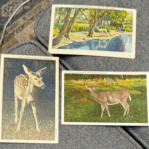 Coole Sammlung von 3 Deer Antique Linen Postkarten Rehbock Doe