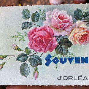 Belle carte postale antique inutilisée des années 1930 des roses roses et pêches Souvenir d’Orléans, France