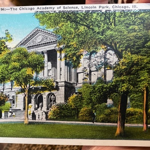 Carte postale antique colorisée incroyablement belle de l’académie des sciences de Chicago dans Lincoln Park, Chicago, Illinois