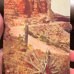 Carte postale vintage fabuleuse de « Sur la route de Roosevelt, Arizona » Grand Canyon, Colorado
