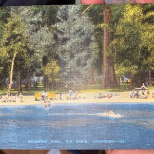 Cool Antique Colorized Linen Postal de piscina en Big Basin en California