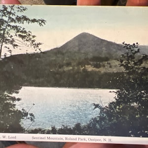 Schöne antik kolorierte Postkarte Sentinel Mountain, Roland Park in Ossipee, New Hampshire