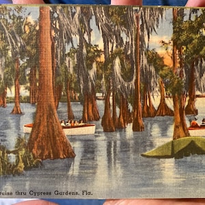 Belle carte postale en lin antique de croisière à travers Cypress Gardens en Floride