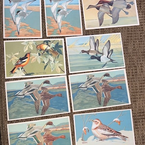 Belle collection d’antiquités inutilisées par la poste. Sur 9 cartes postales en lin d’oiseaux