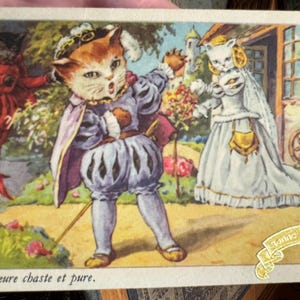 Carina cartolina antica di gattini francesi. Felice anno nuovo, Bonne Fete.