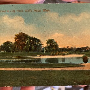 Belle carte postale colorisée antique de scène dans le parc de la ville à Walla Walla, Washington 1913