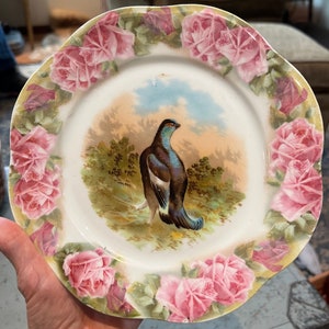 Splendido piatto antico per uccelli vittoriani in Cina Austria degli Asburgo