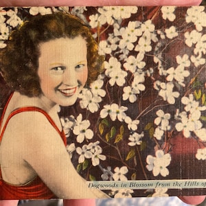 Lindo cartão postal antigo de linho colorido de Dogwoods em flor das colinas de Oklahoma com linda senhora Pin Up