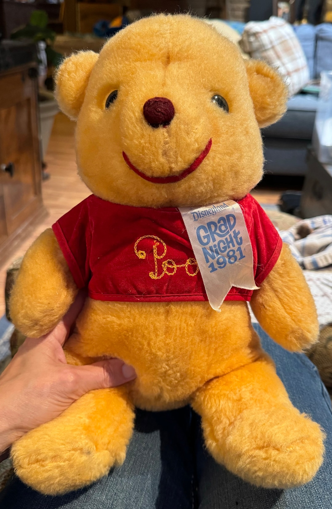 80's プーさん ヴィンテージ バルーンランプ Winnie the Pooh ビンテージ Dolly Toy '80s ディズニー Winnie the Pooh BALLOON