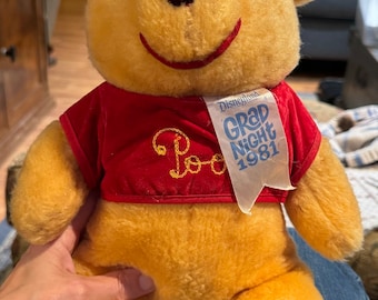Darling Vintage 1981 Disneyland Grad Night Winnie Puuh Plüsch Stofftier