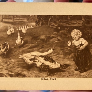 Carte postale antique cool d’une petite fille nourrissant des canards à la ferme dans les années 1910