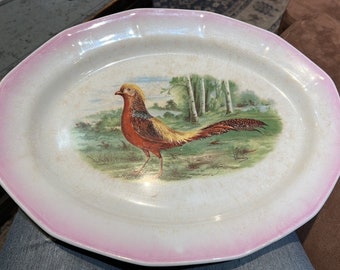 RARE Antique Sebring Ohio Pheasant Platter 13-1/2” x 10-1/2” by Daudin