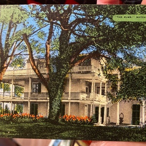 Bella cartolina di lino antica di "The Elms" Casa di Mr e Mrs Joseph Kellogg a Natchez, Mississippi