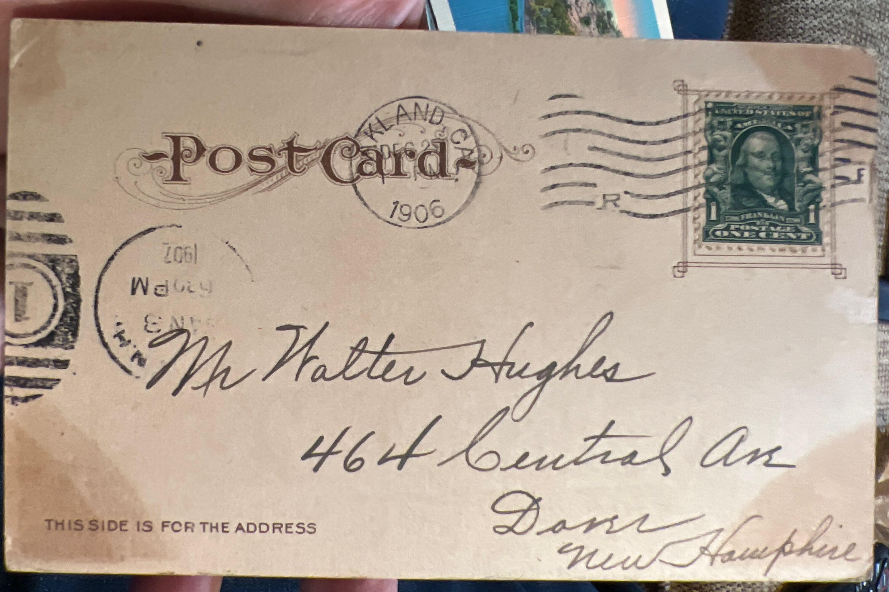 Lovely Colorized Postcard of Rose Covered Oak in Alameda, California - Etsy