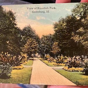 Carte postale antique belle de linge de vue du parc de Standish, Illinois