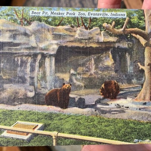 Coole Antike Leinen Postkarte von Bear Pit, Mesker Park Zoo in Evansville, Indiana
