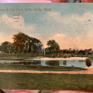 Belle carte postale colorisée antique de la scène dans le parc de la ville à Walla Walla, Washington 1913