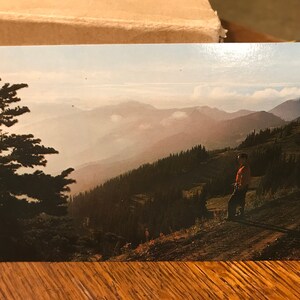 Cartão Postal Vintage 1950-60s Lillian River Canyon Furacão Ridge Olympic National Park Washington